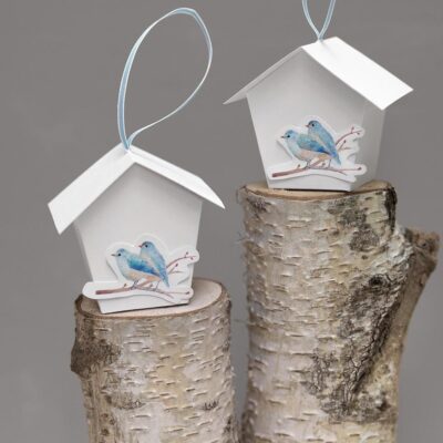 Geldgeschenk Vogelhäuschen