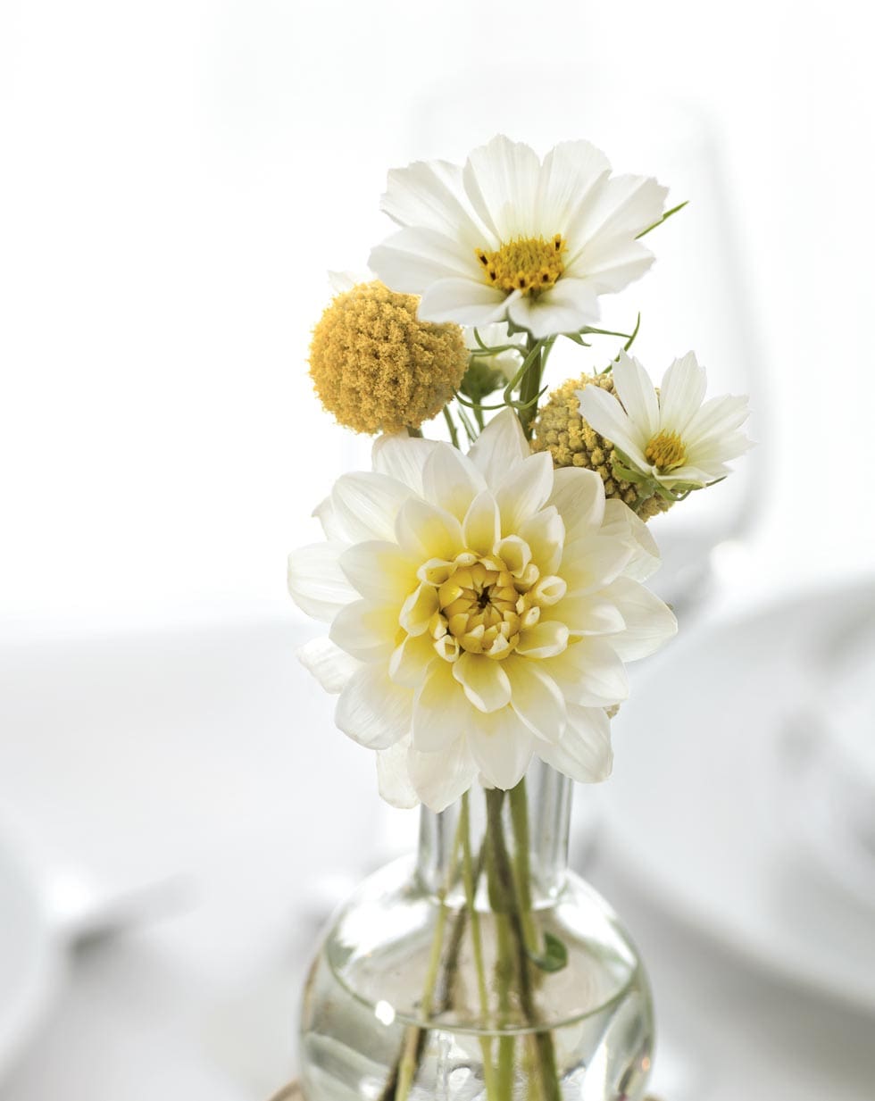 Weiße Blumen Flaschenvase