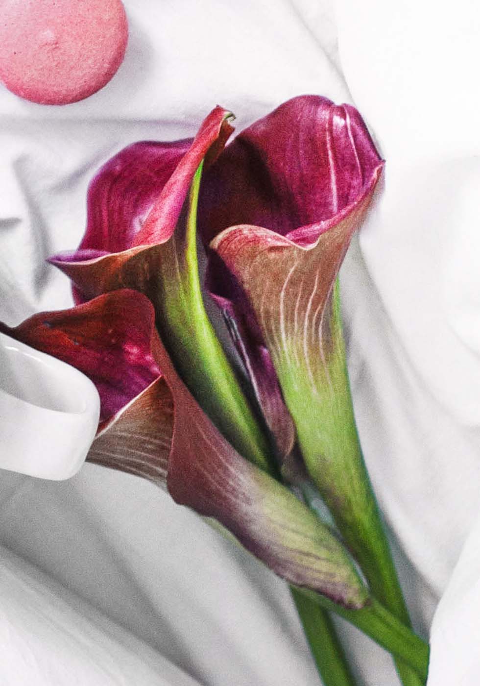 Calla