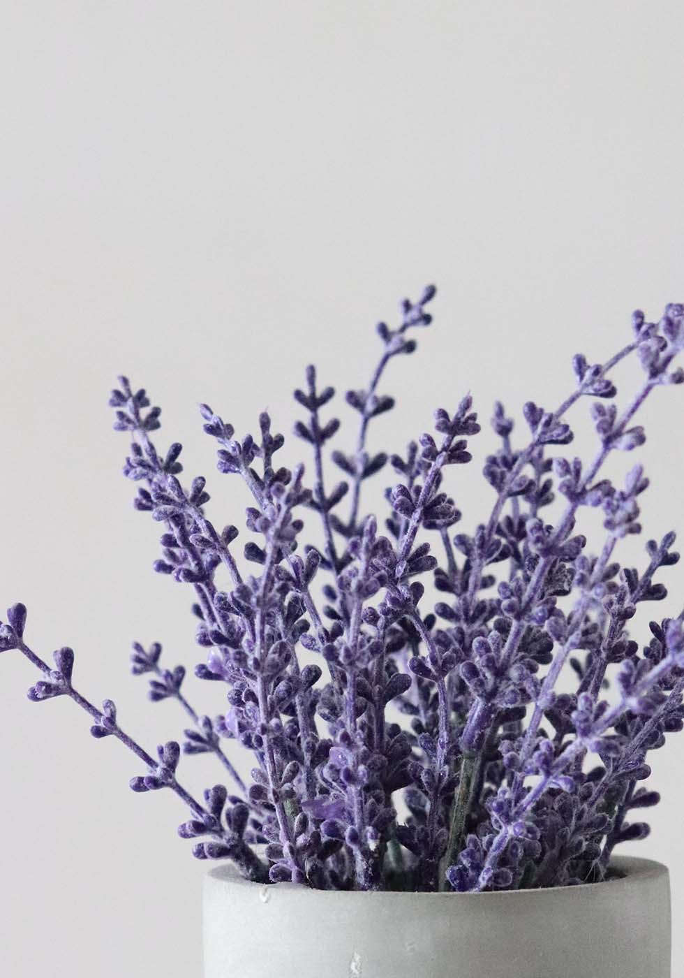 Hochzeitsblumen Lavendel