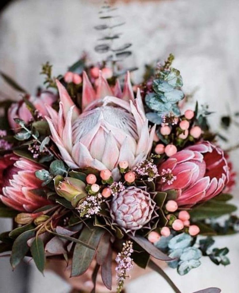 Hochzeitsblumen Brautstrauß Protea