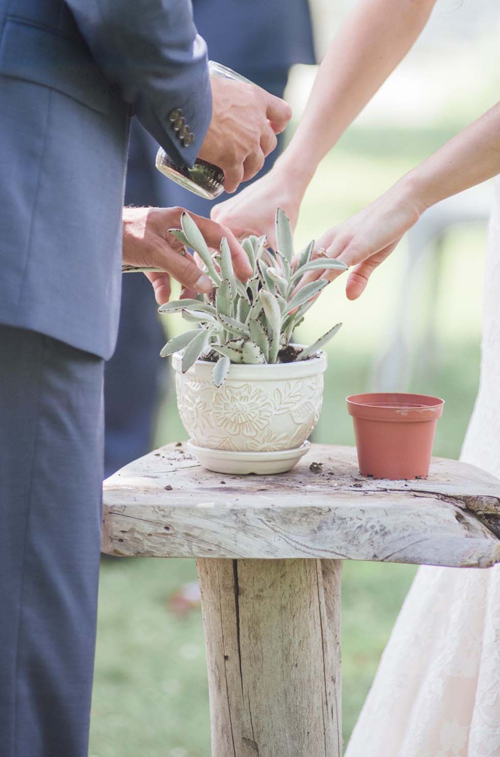 Pflanzritual Hochzeit