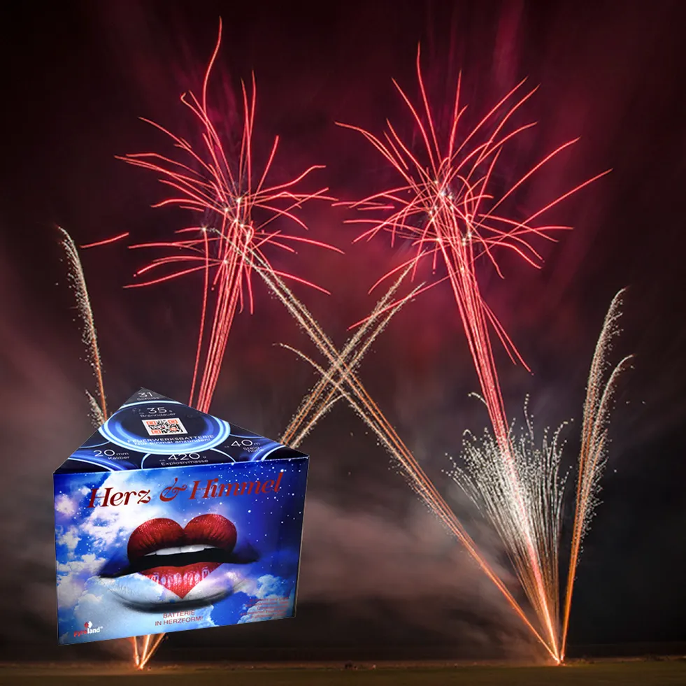 Feuerwerk Überraschung Hochzeit