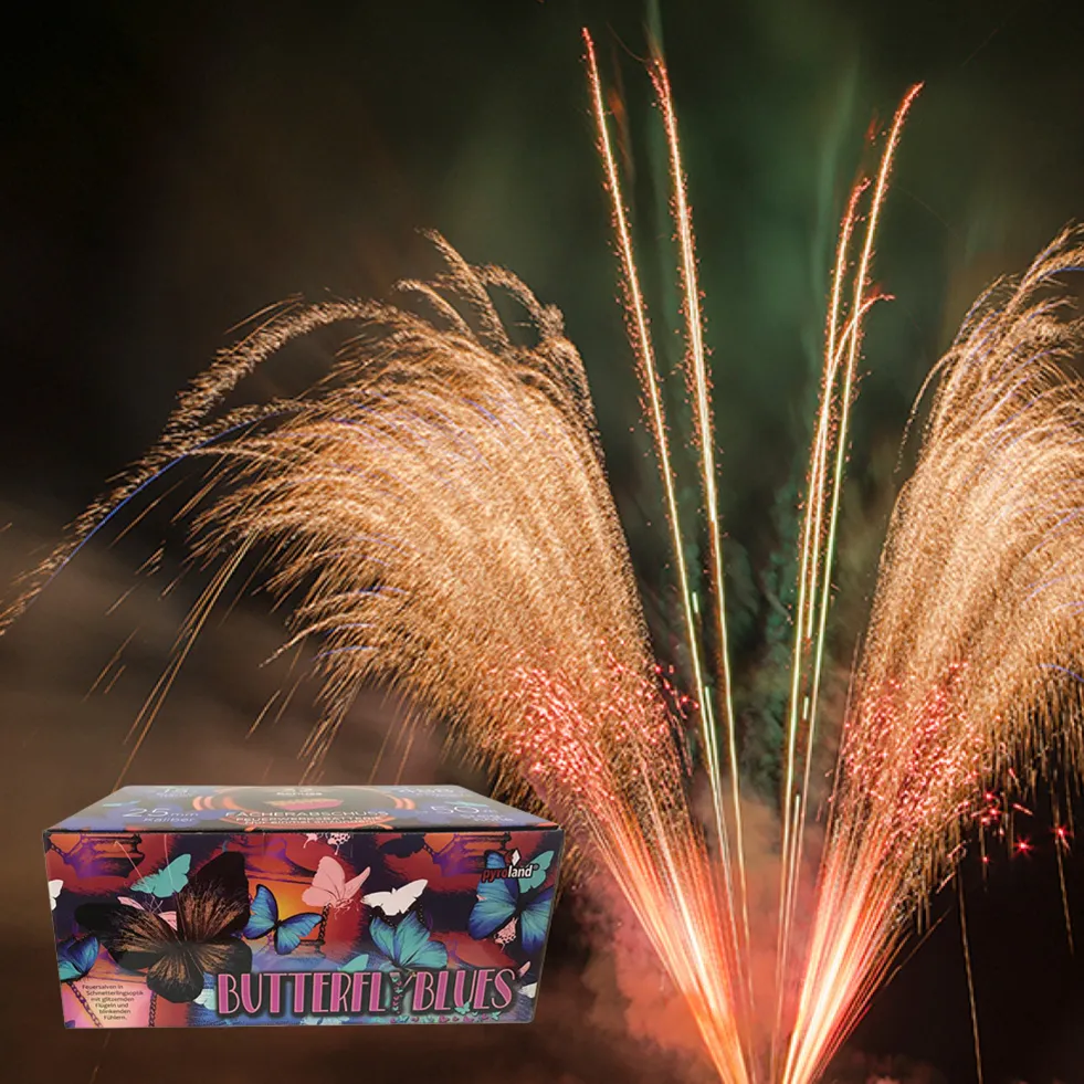 Feuerwerk selber zünden Überraschung