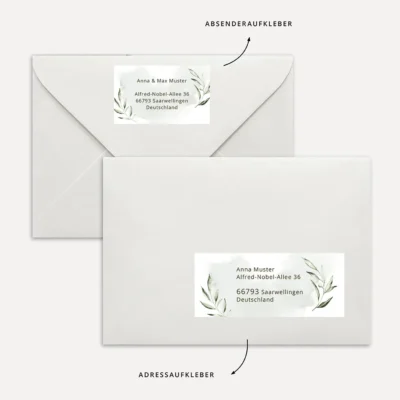 Adressaufkleber Vorlage Word Olivenzweige Grün Download