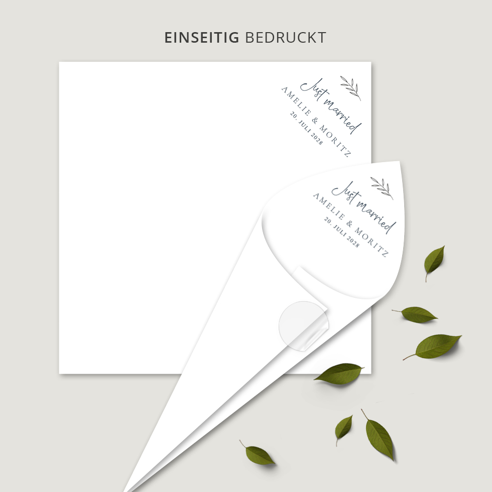 Spitztüten “Olive” Spitztüten Olive