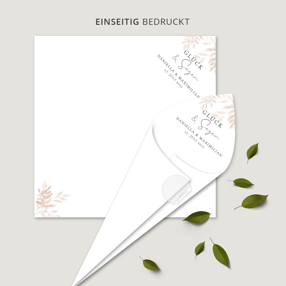 Spitztüten “Pampas” Spitztüten Pampas